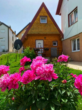 Vikendica My Home